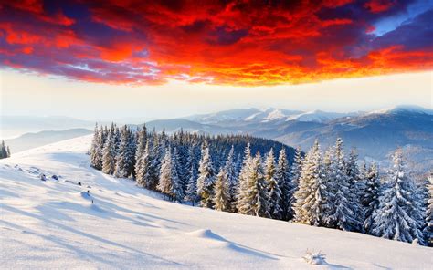 Landscapes Nature Winter Seasons Snow Trees Forests Mountains Sunsets Sunrises Skies