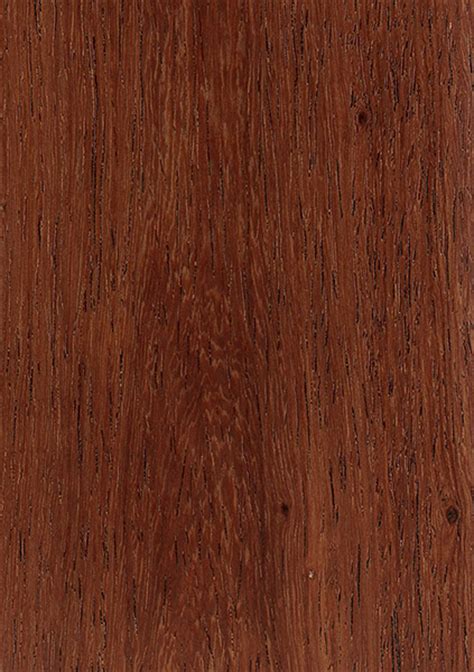 Burmese Rosewood | The Wood Database - Lumber Identification (Hardwood)