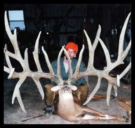 State Record Buck