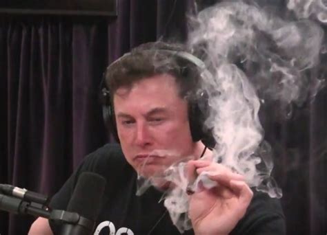 Tesla cybertruck spy shots (florida) (reddit.com). Tesla stock drops after Elon Musk smokes weed and ...