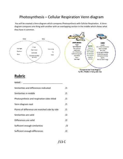 Cellular Respiration And Photosynthesis Venn Diagram Worksheet