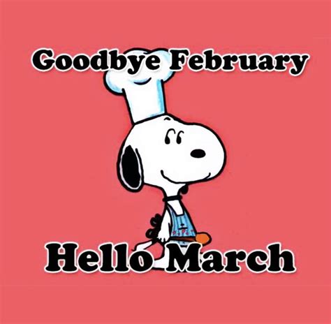 Hello March Hello March Hello Character