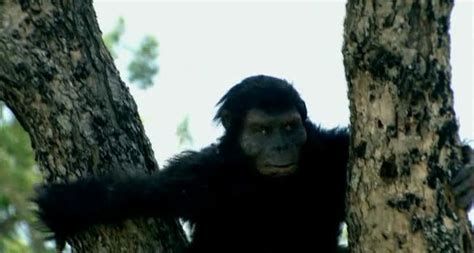Australopithecus Afarensis Documentary Ape To Man Apes