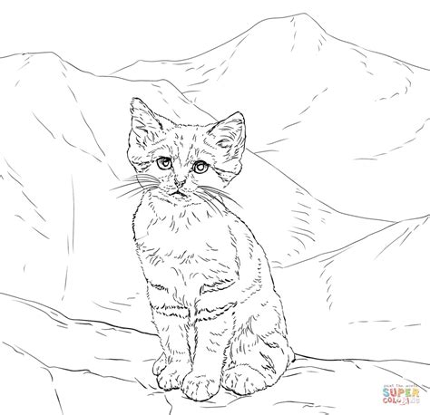 Szybka dostawa z wielu sklepów! Sand Cat Kitten coloring page | Free Printable Coloring Pages