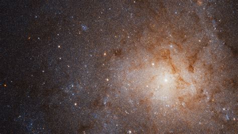 Hubble Captures Awe Inspiring Photo Of Triangulum Galaxy