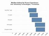 Average Annual Salary For A Vet Tech Photos