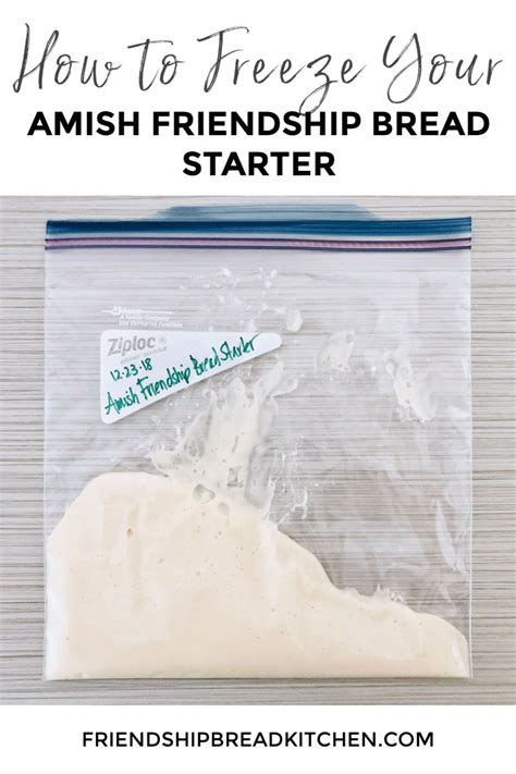tutorial storing freezing amish friendship bread starter recipe friendship bread