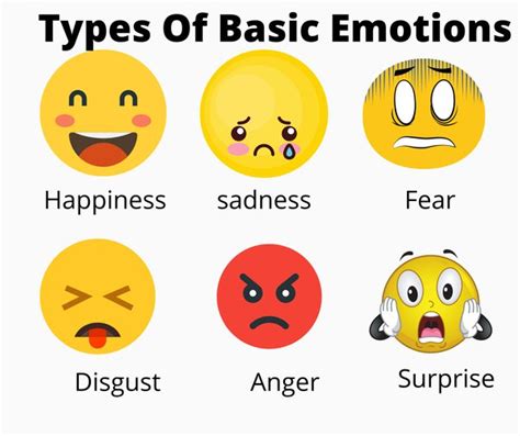 The 6 Types Of Basic Emotions N Self Healers Quora