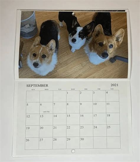 Corgi Calendar 2021 Angus Hambone Cupcake And Wolfgang