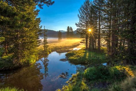 1080p Free Download Sunrise On The River Hills Forest Grass