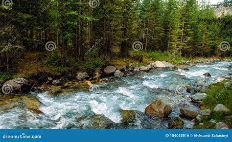 Rocky Mountain River Among The Pine Trees Beautiful Fast Flowing River