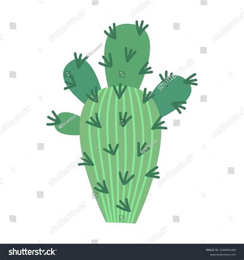 Mexican Cactus Vector Illustration Cacti Spiny Stock Vector Royalty