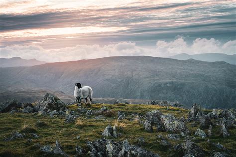 Free Images Sky Mountainous Landforms Highland Fell Hill Cloud