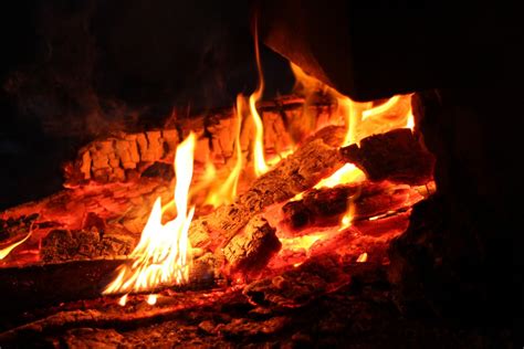 Free Images Forest Night Spark Flame Fire Firewood Campfire