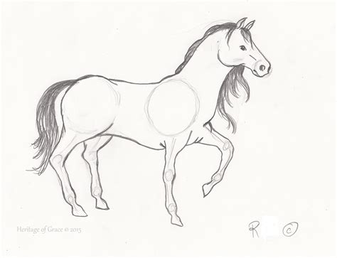 Horse Easy Drawing At Getdrawings Free Download