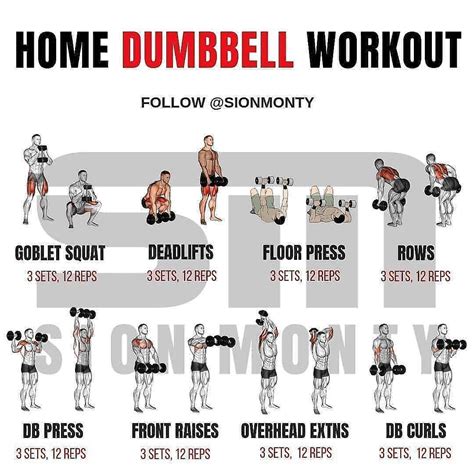 𝐒𝐀𝐕𝐄 𝐅𝐎𝐑 𝐋𝐀𝐓𝐄𝐑 Dumbbell Workout At Home Full Body Weight Workout