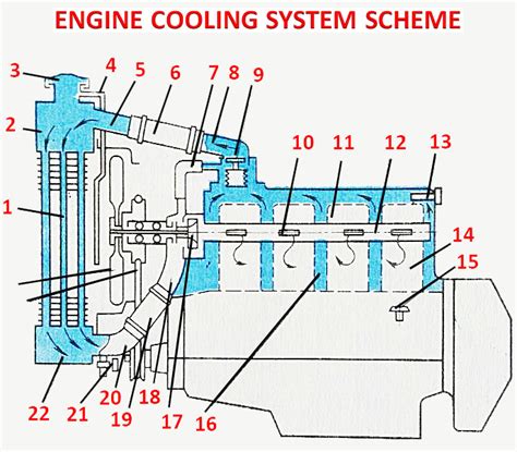 How Engine Cooling System Works Car Anatomy In Diagram