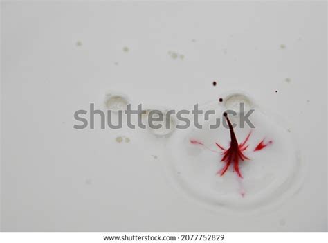 Red Food Coloring Splashing Milk Stock Photo 2077752829 Shutterstock