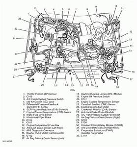 2001 Ford Escape V6 Engine Diagram