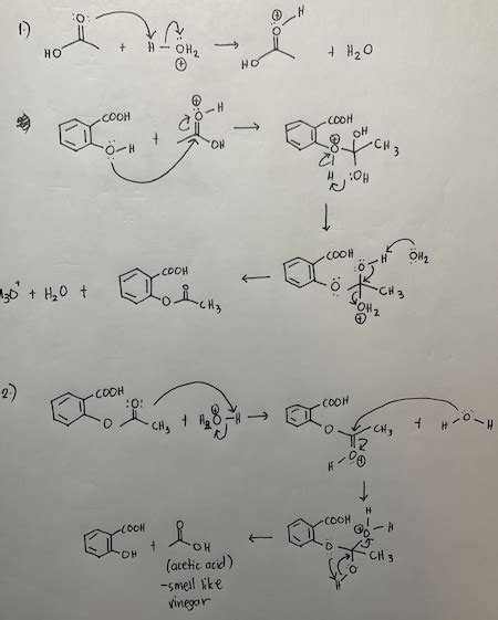 Salicylic acid (from latin salix, willow tree) is a lipophilic monohydroxybenzoic acid, a type of phenolic acid, and a beta hydroxy acid (bha). Solved: 1. Using curved arrows to indicate electron flow ...