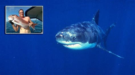 unprecedented number of shark attacks as wa named world s deadliest spot