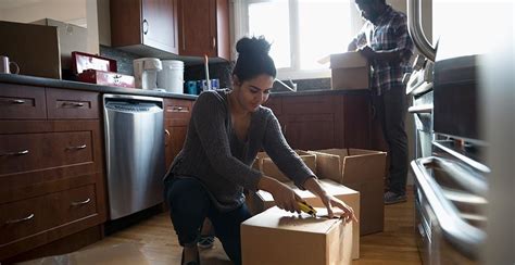 Some accidentally introduced but some released on purpose, which obviously backfired. Does Your Moving Company Need a License? A Statewide Guide ...