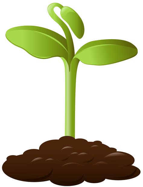 Plants Clipart Soil Plants Soil Transparent Free For Download On