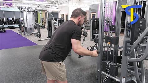 Cable Ez Bar Reverse Grip Tricep Extension Youtube