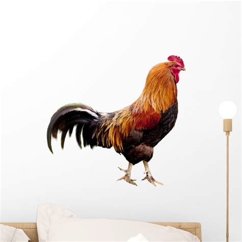 Rooster Wall Mural By Wallmonkeys Peel And Stick Graphic 18 In W X 17