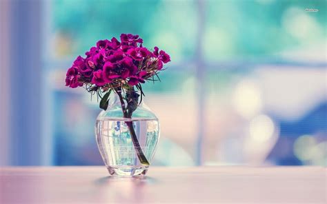 🔥 [40 ] flowers in vase wallpaper wallpapersafari