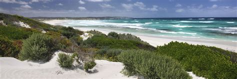 Visit Kangaroo Island On A Trip To Australia Audley Travel