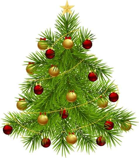 Christmas Tree Png Transparent Image Download Size 528x600px