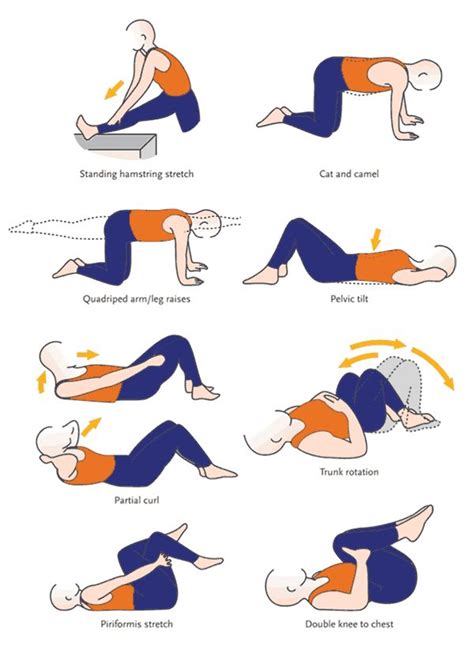 Pin On My Best Scoliosis Exercises