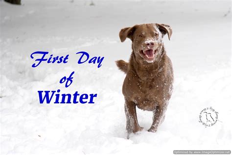 Happy First Day Of Winter Jump For Joy 2 Brown Dawgs Blog