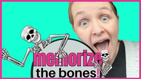 How To Learn The Human Bones Tips To Memorize The Skeletal Bones