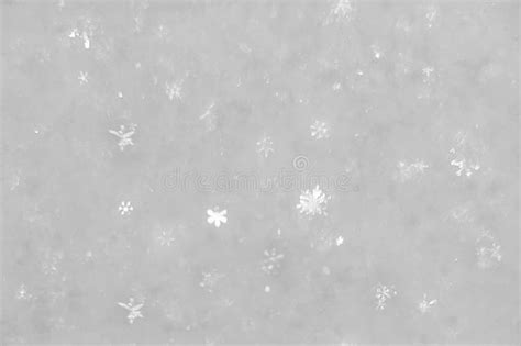 Snow Large Snowflakes Visible Texture Seamless Stock Image Image Of