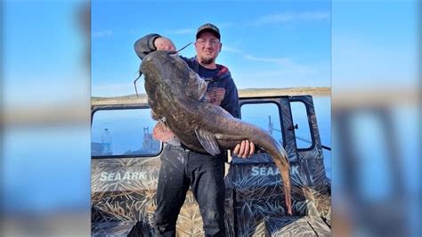 شاهد رجل يصطاد سمكة سلور ضخمة وزنها حوالي 30 كيلوغرامًا أثناء الصيد
