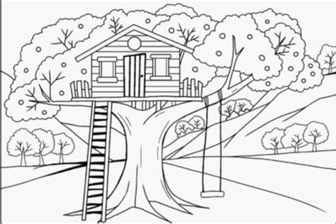 Gambar Sketsa Pohon Mangga Mudah Ditirukan Beserta Dengan Detail
