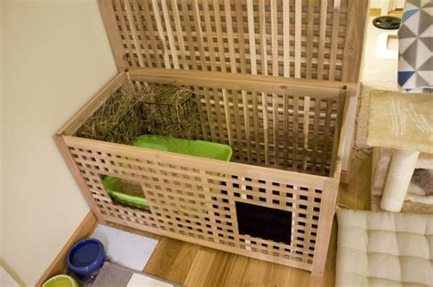 We recently upgraded our litterbox/hay situation! - Benjie the