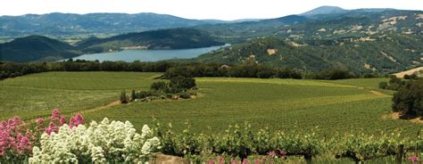 Finding Romance In Napa And Sonoma Wine Country | Sonoma wine country, Sonoma wine, Wine country