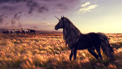 Wallpaper unicorn, horse, nature, black, Art #10309