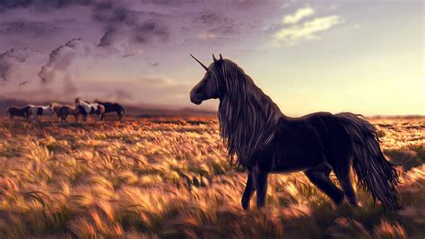 Wallpaper Unicorn Horse Nature Black Art 10309