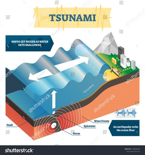 Tsunami Vector Illustration Labeled Educational Huge Ocean Wave