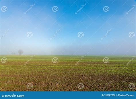 Morning Mist Fog Over Meadows Stock Photo Image Of Horizon Desktop