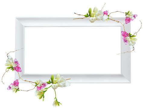 This black and white image is of a long, tall stem of leaves and flowers. White Transparent Frame with Pink Flowers | Gallery ...