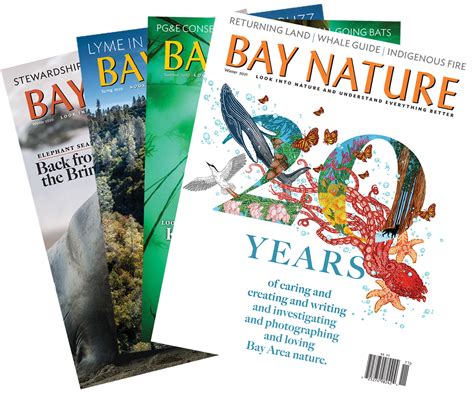 Current And Back Issues Archives Bay Nature