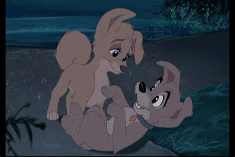 Angelgallery The Lady And The Tramp Wiki Fandom