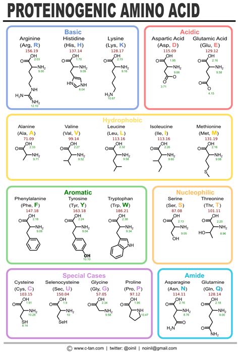 Amino Acid Symbols Chart