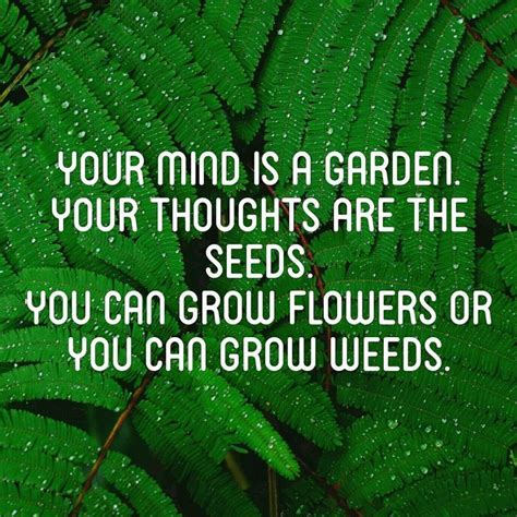 Your Mind Is A Garden Your Thoughts Are The Seeds You