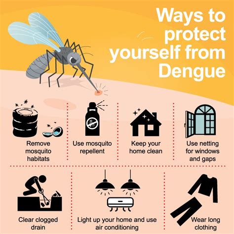 Blog For Dengue Symptons And Prevention Flores Hospital